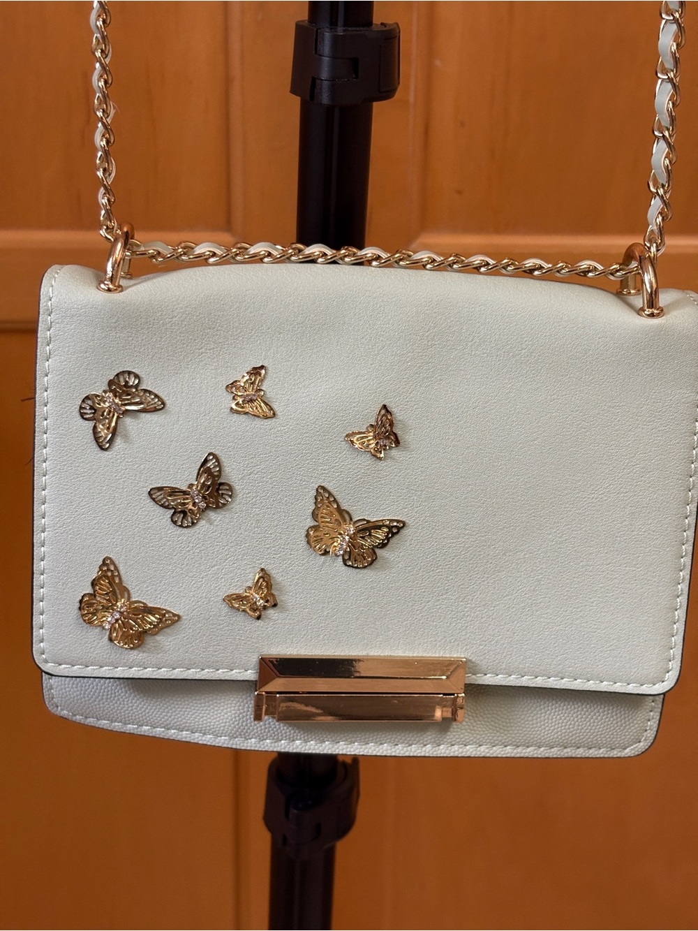 ALDO Dalsby Mint Green Butterly Crossbody Bag Gold Chain